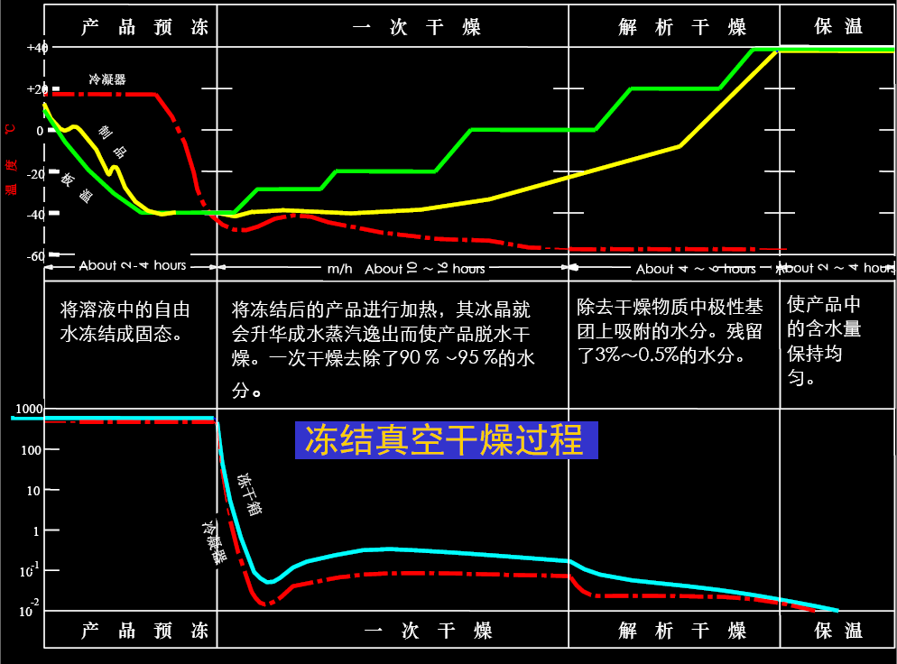 真空冷凍干燥工藝